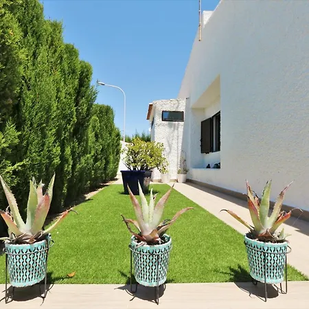 In Dehesa De Campoamor 900 Meters From The *